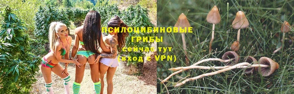 каннабис Костерёво