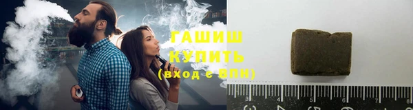 индика Санкт-Петербург