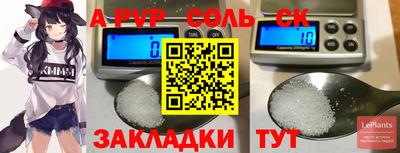 шишки Заволжье