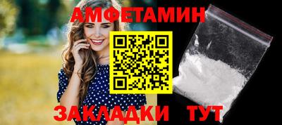 шишки Заволжье