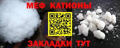 шишки Заволжье