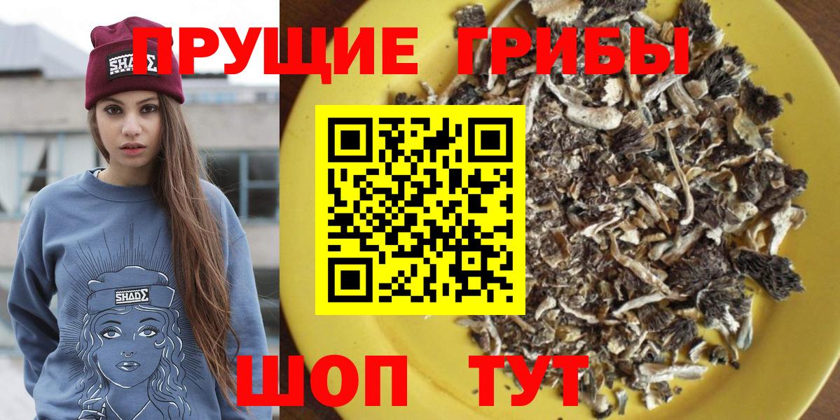 Юрга  Галлюциногенные грибы прущие грибы  Псилоцибиновые грибы Psilocybine cubensis  Вход с VPN 