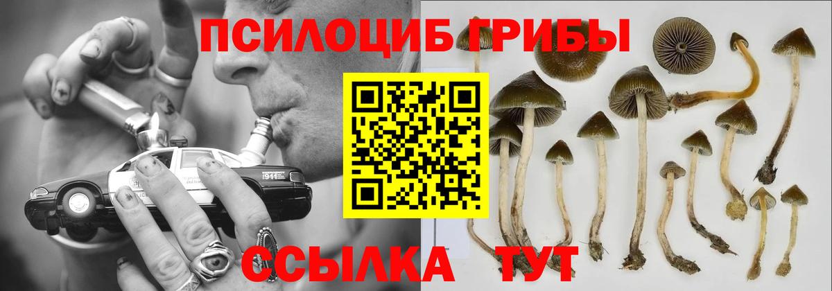 Галлюциногенные грибы мухоморы Юрга